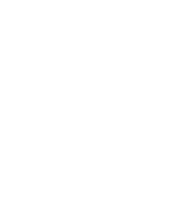 DINAMO