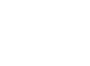 RVLog